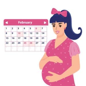 calcul semaine de grossesse