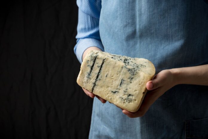 Est-ce que je peux manger du gorgonzola enceinte ?