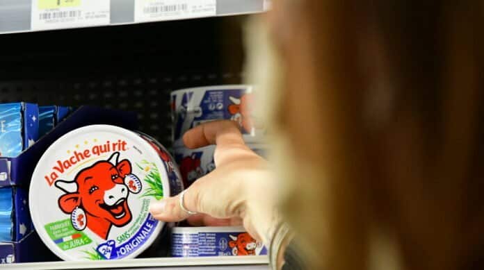 Manger la Vache qui rit enceinte : Un choix sûr et délicieux