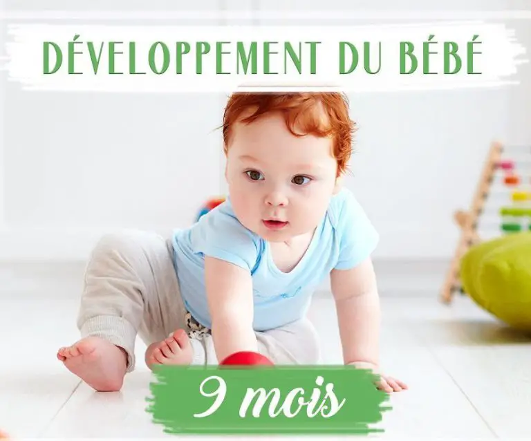 Développement bébé