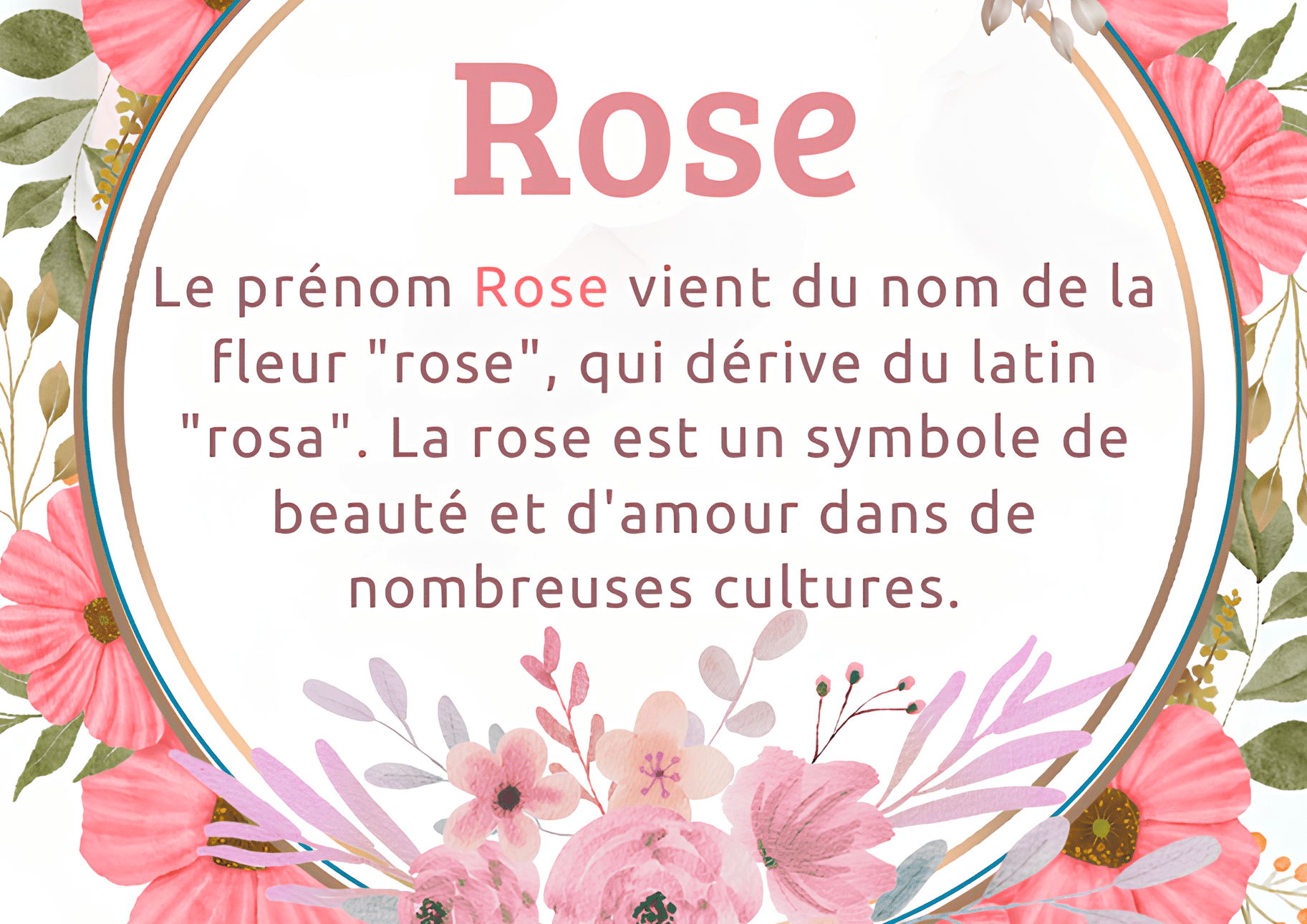Prénom Rose : Signification, Etymologie, Origine, Caractère